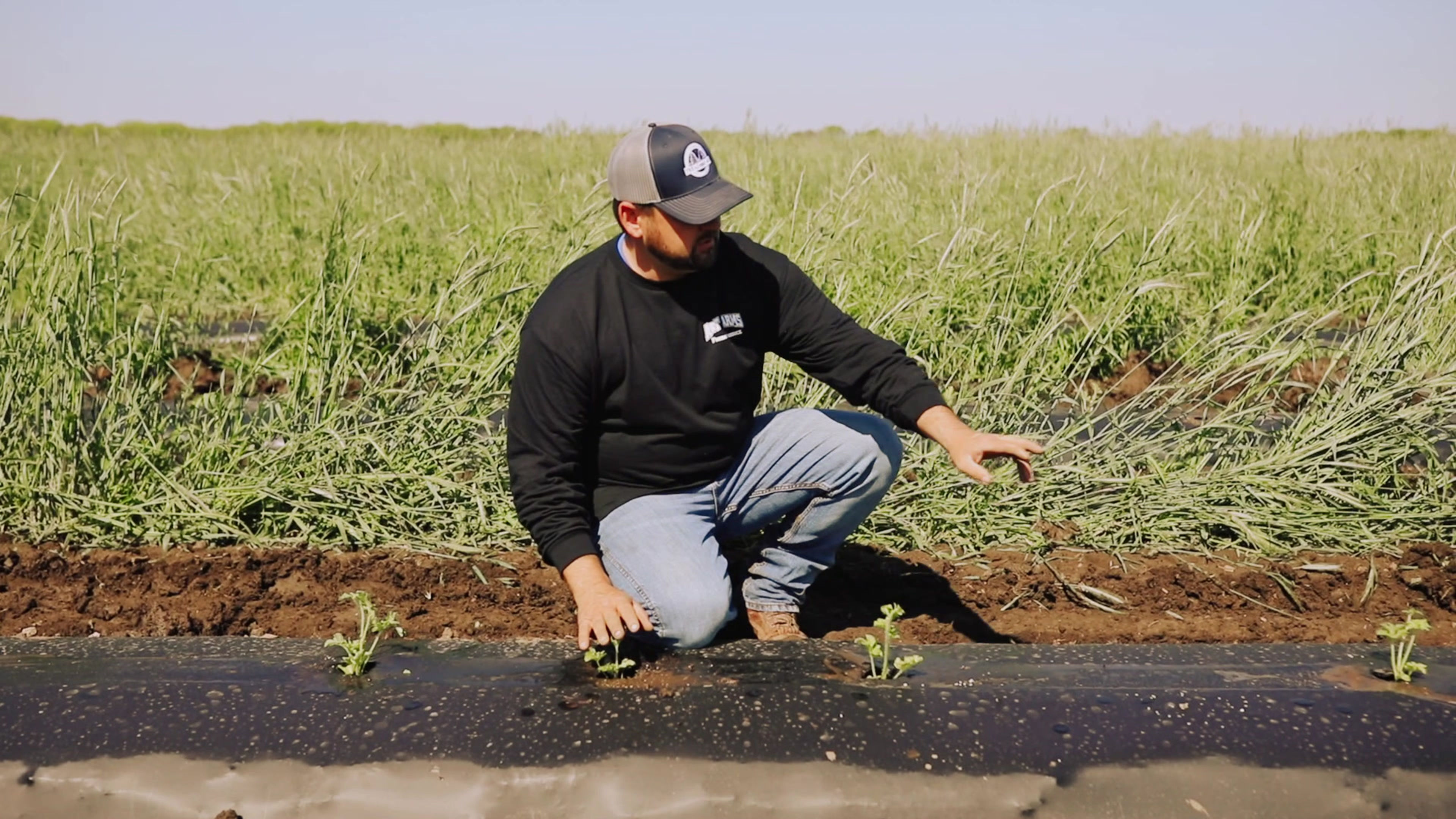 Nelson Produce Farm Valley, NE